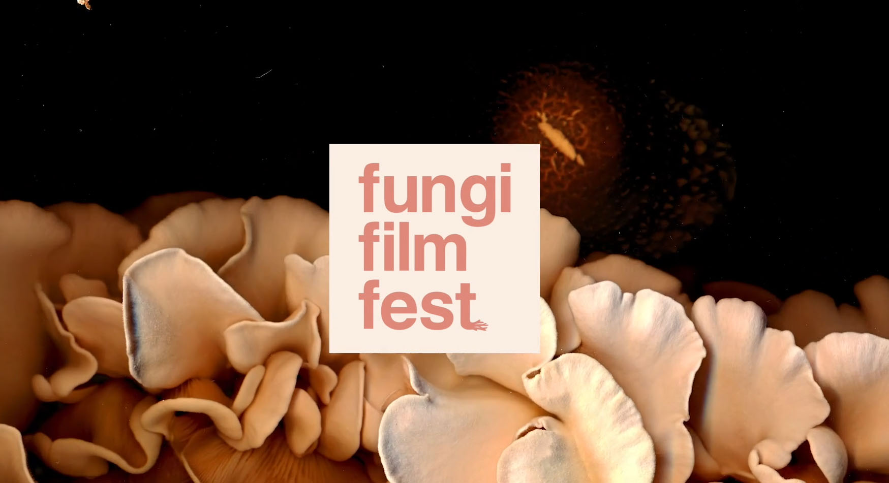 Fungi Film Festival